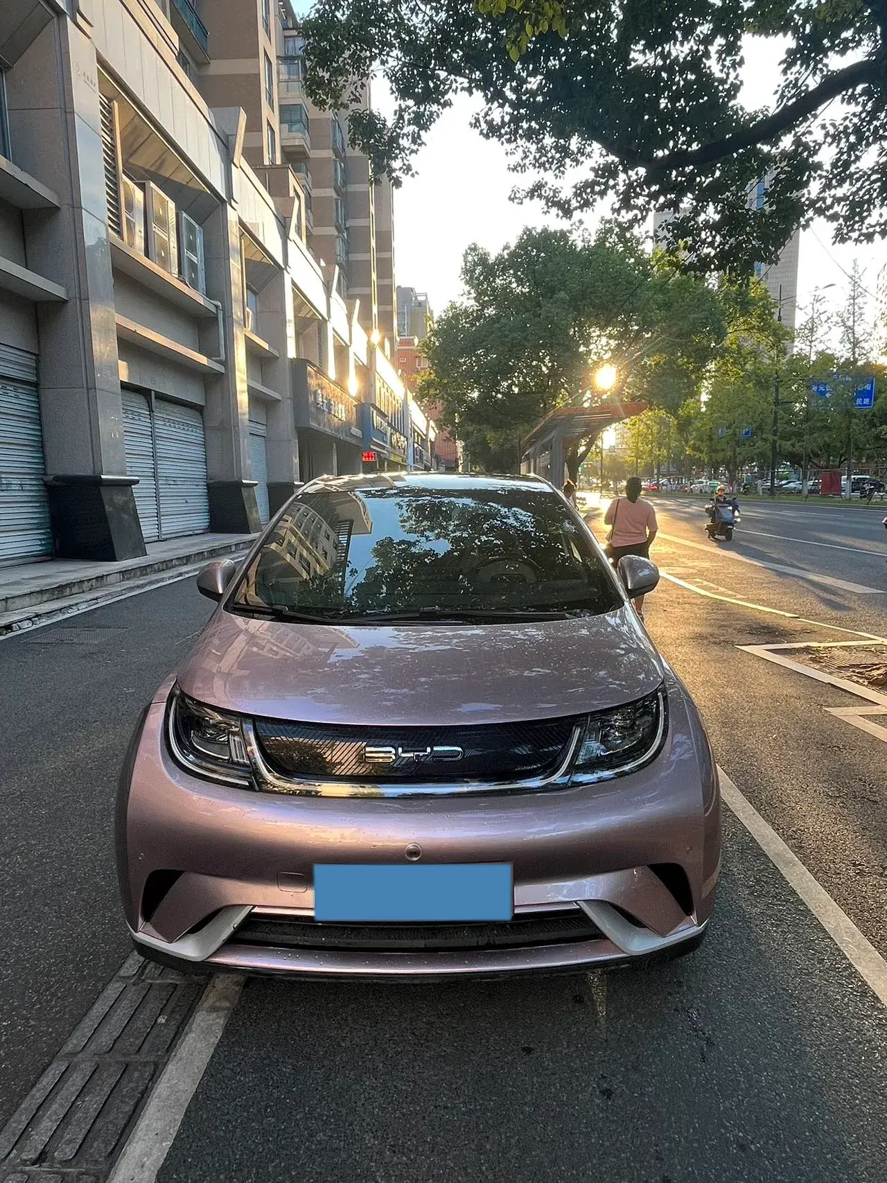 2023 BYD DOLPHIN thumbnail 2