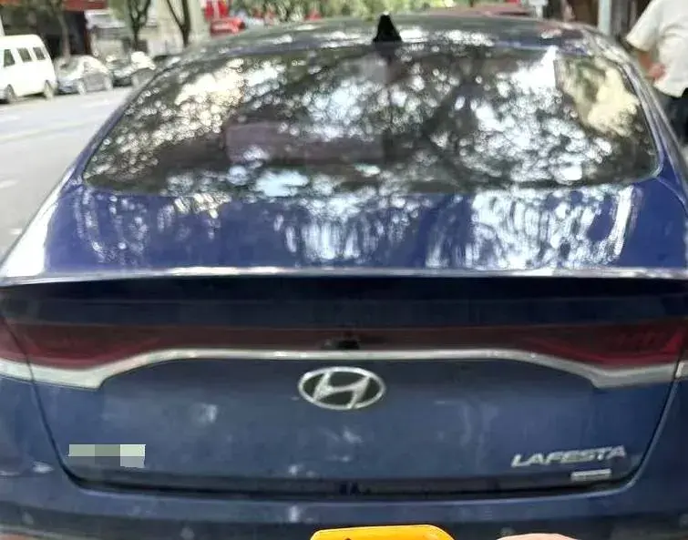 2019 HYUNDAI LA thumbnail 3