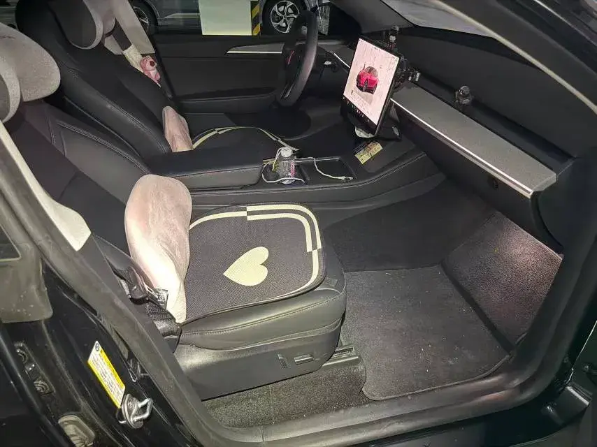 2023 TESLA MODEL thumbnail 4