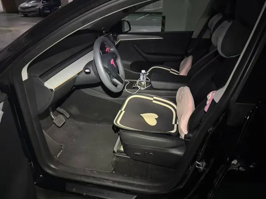 2023 TESLA MODEL thumbnail 3