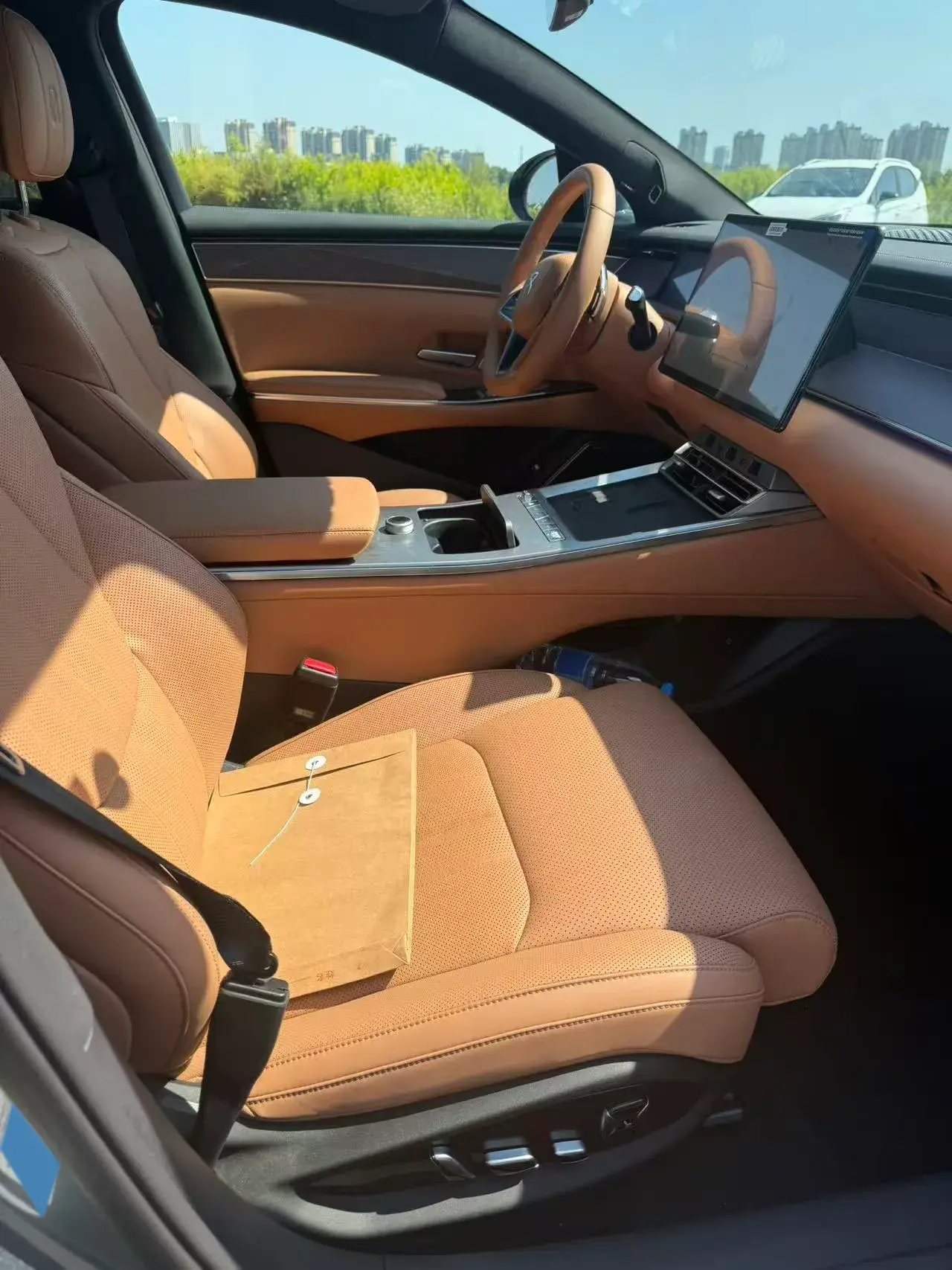 2025 BYD HANL thumbnail 2