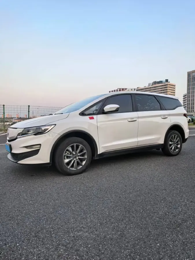 2021 Livan Maple 80v BEV 53KWH