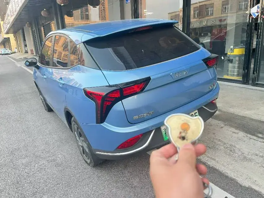 2022 NETA V thumbnail 3