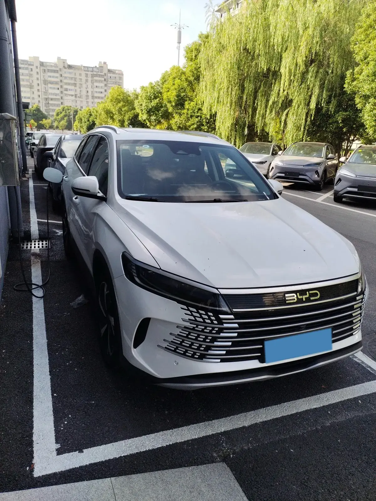 2025 BYD SEA thumbnail 3