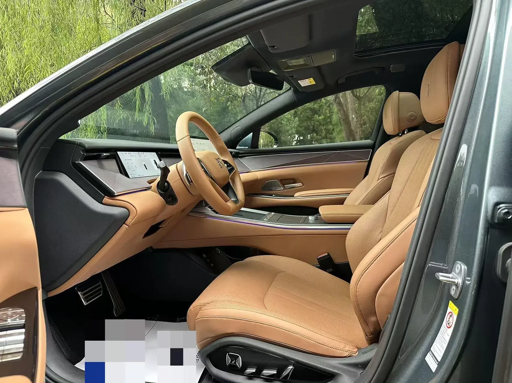 2025 BYD HANL thumbnail 3