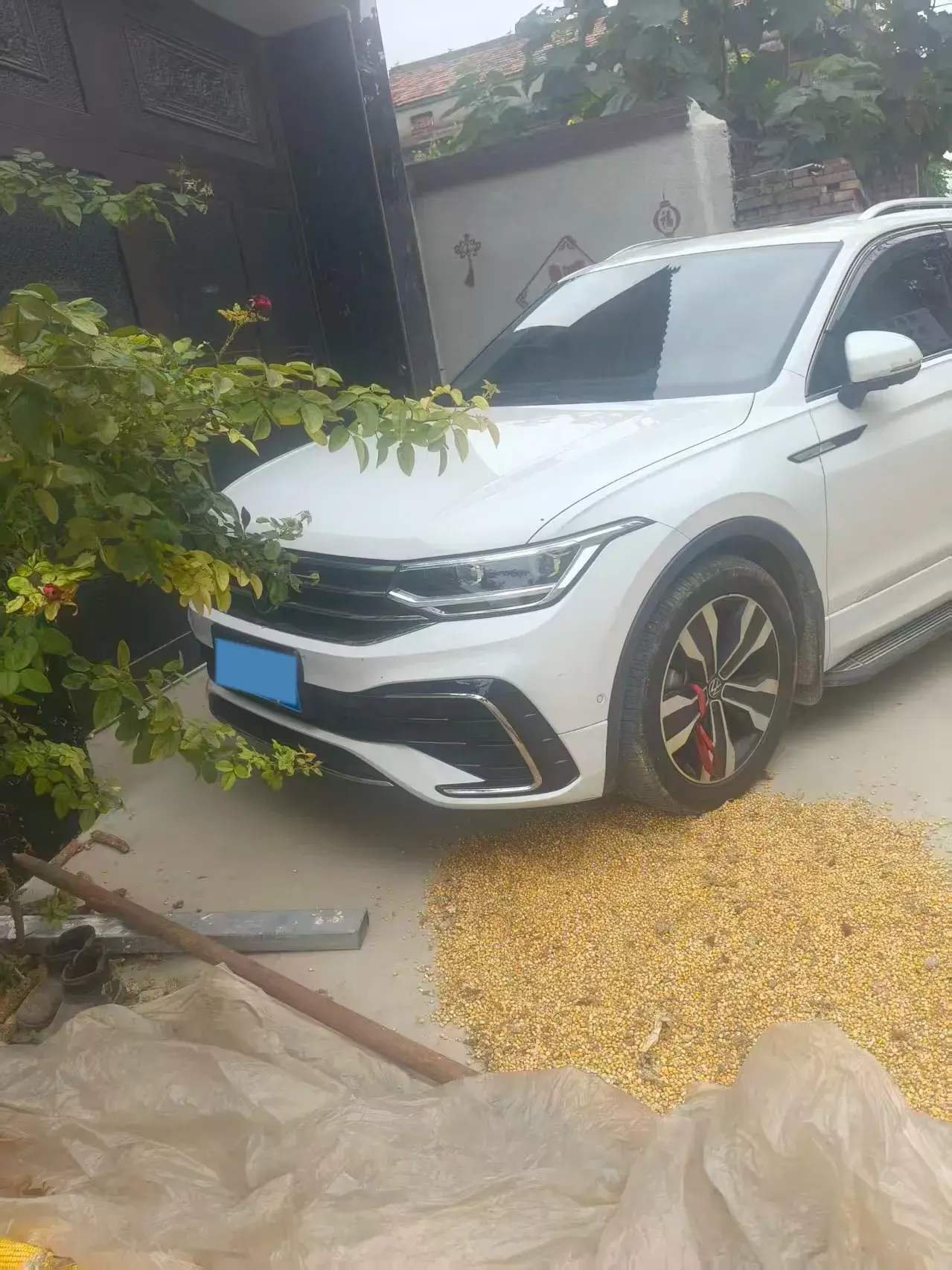 2024 VOLKSWAGEN TIGUAN thumbnail 2