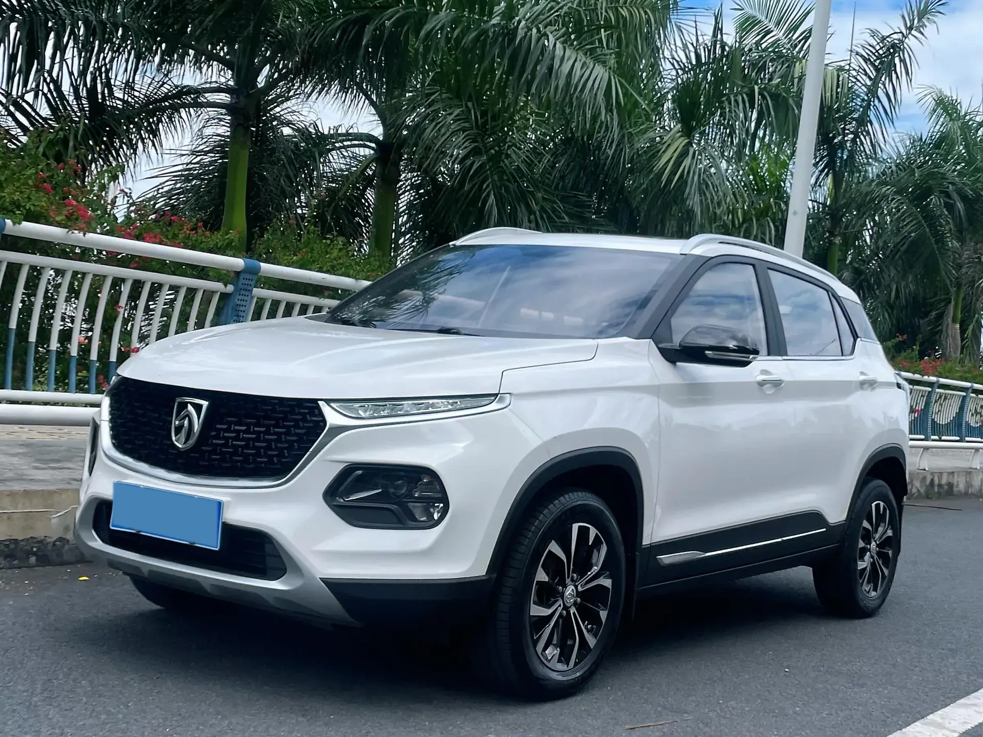2019 BAOJUN 510 view 1