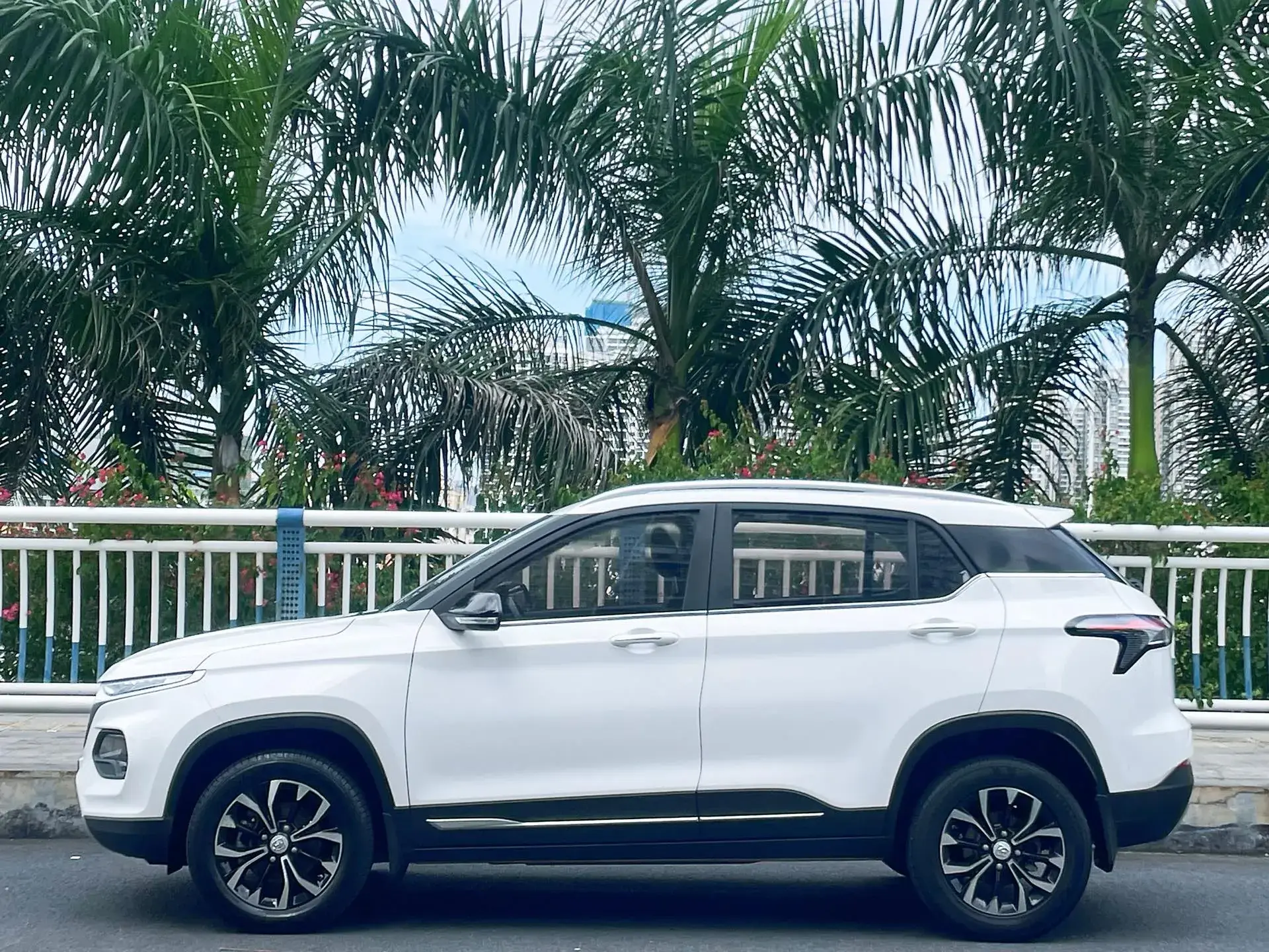 2019 BAOJUN 510 thumbnail 3
