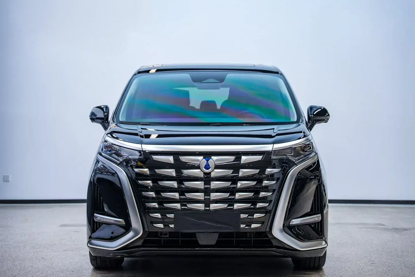 2024 DENZA D9 thumbnail 2