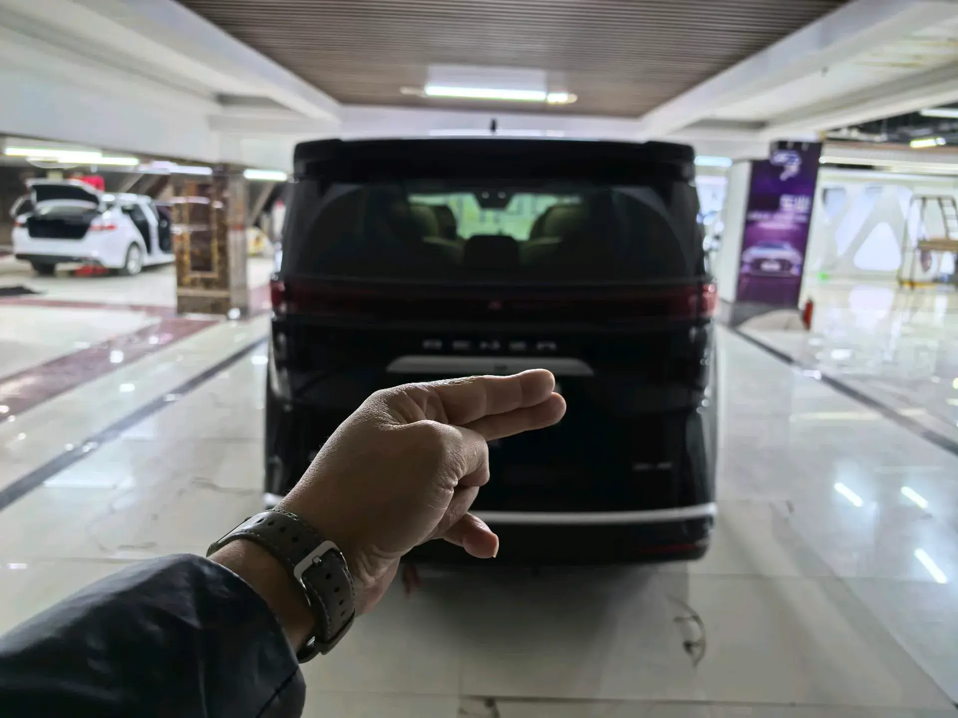 2022 DENZA D9 thumbnail 4