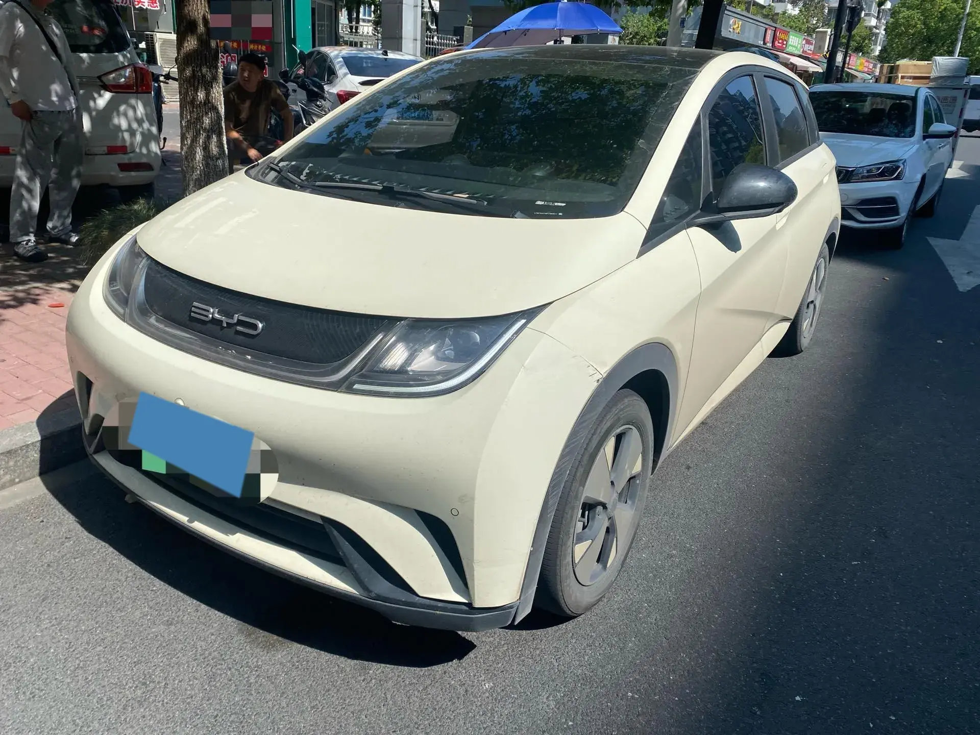 2023 BYD DOLPHIN view 1