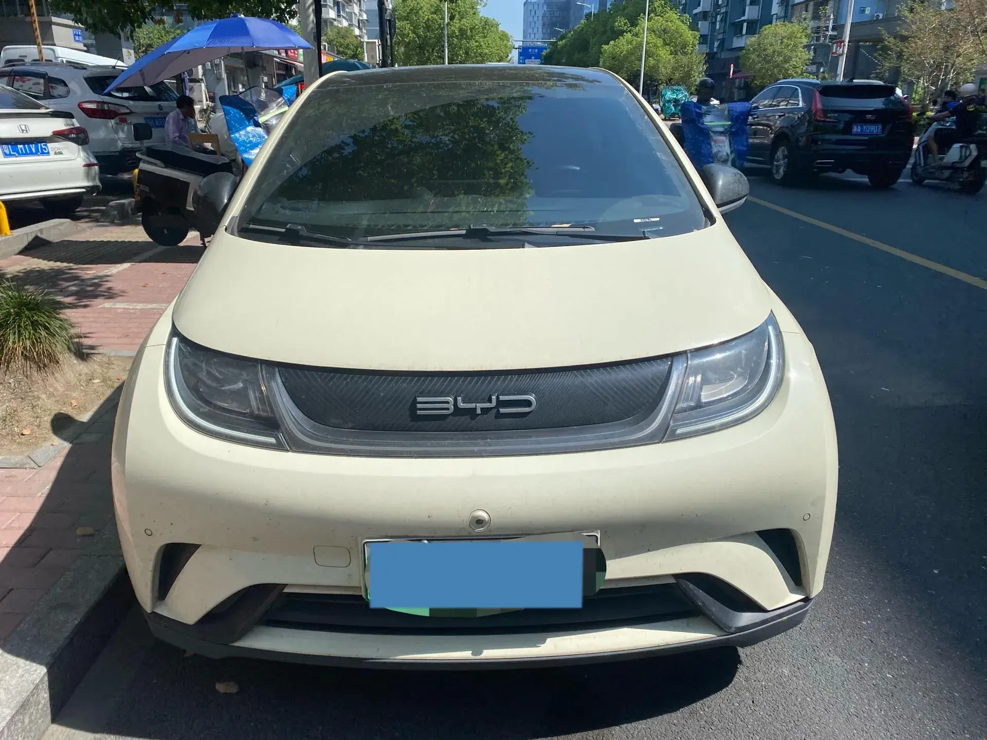 2023 BYD DOLPHIN thumbnail 2