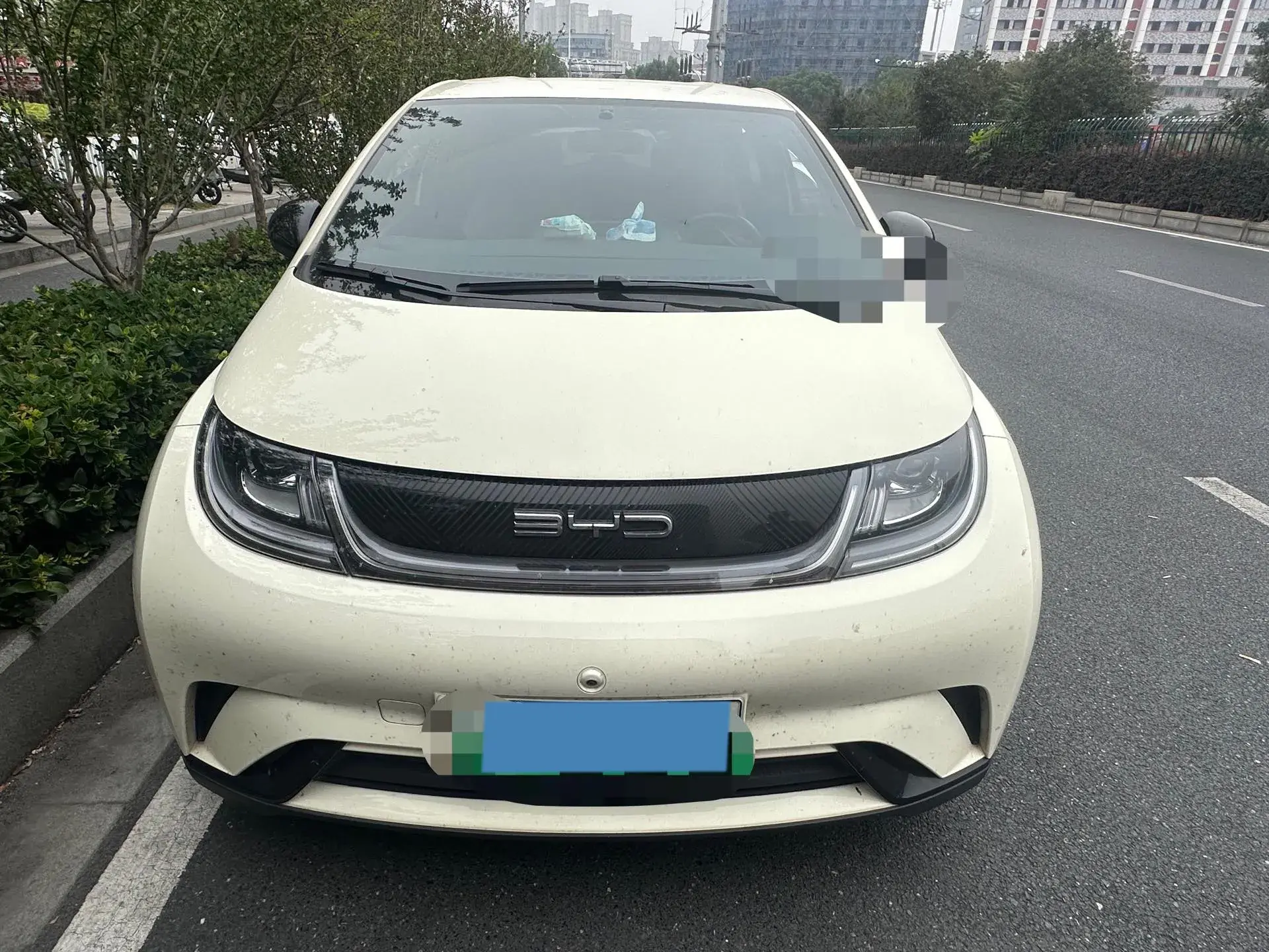 2023 BYD DOLPHIN thumbnail 2