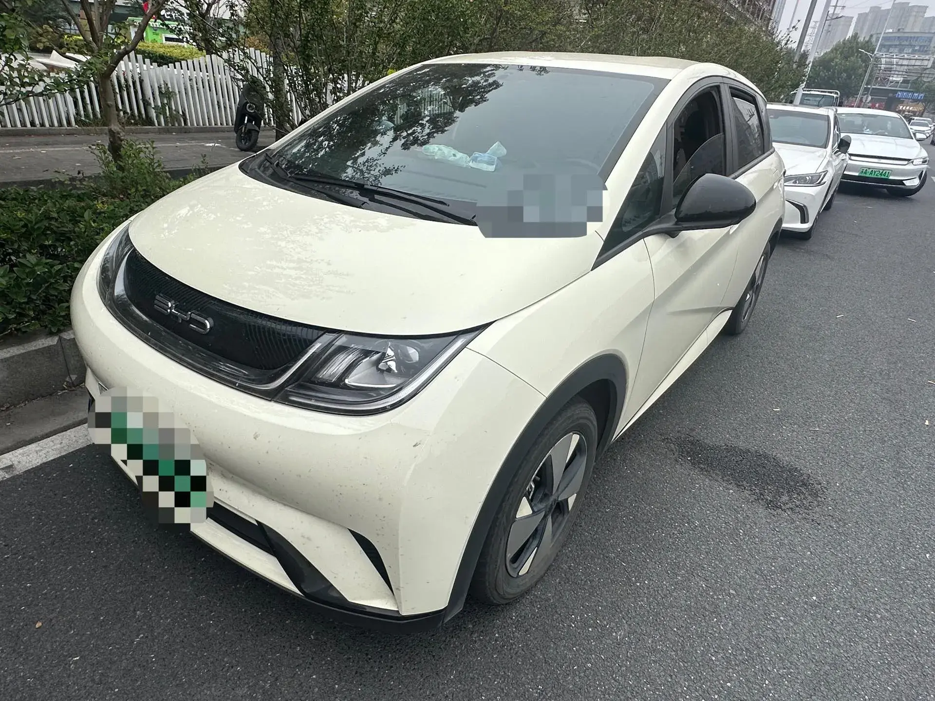 2023 BYD DOLPHIN view 1