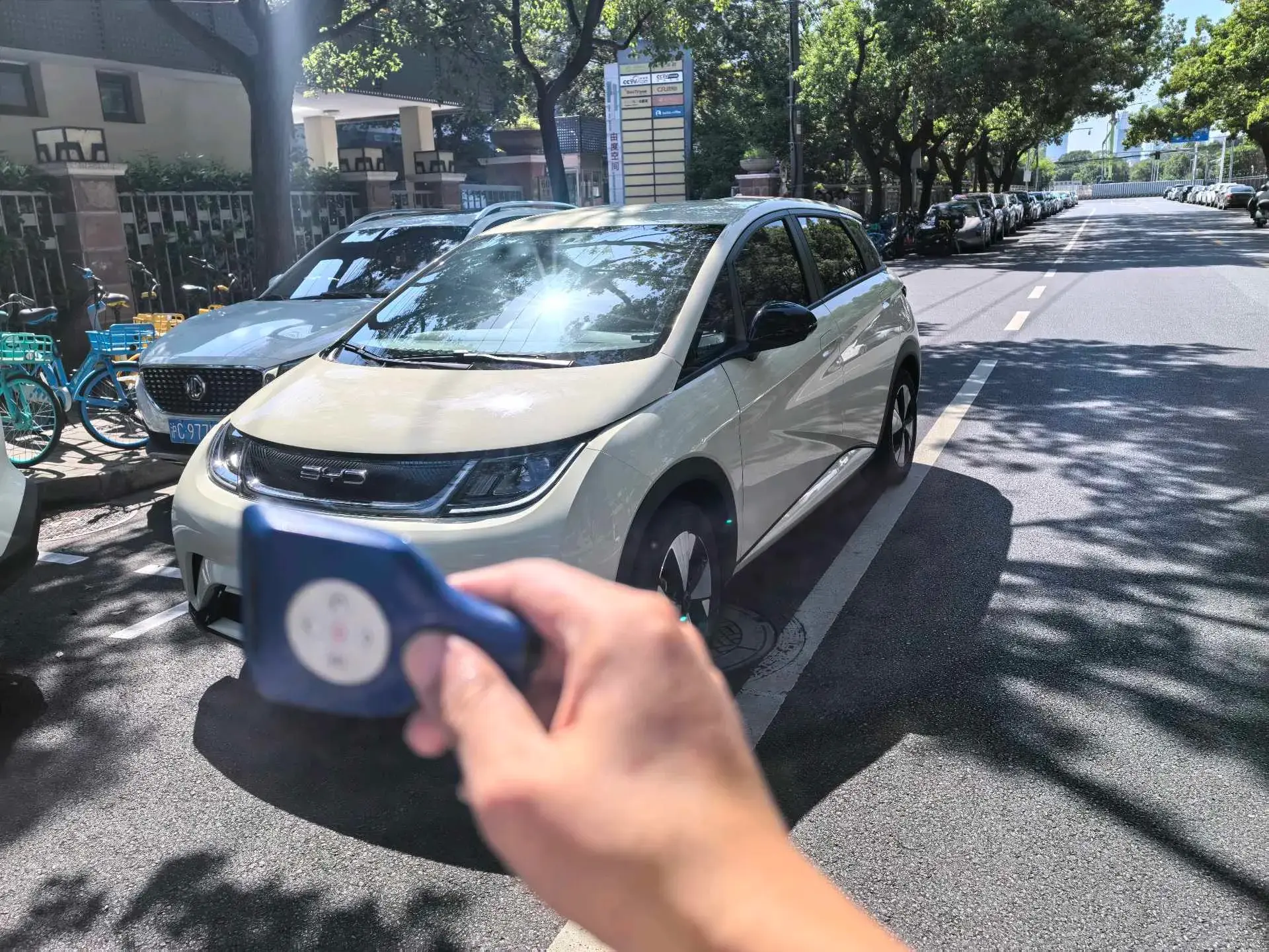 2023 BYD DOLPHIN view 1