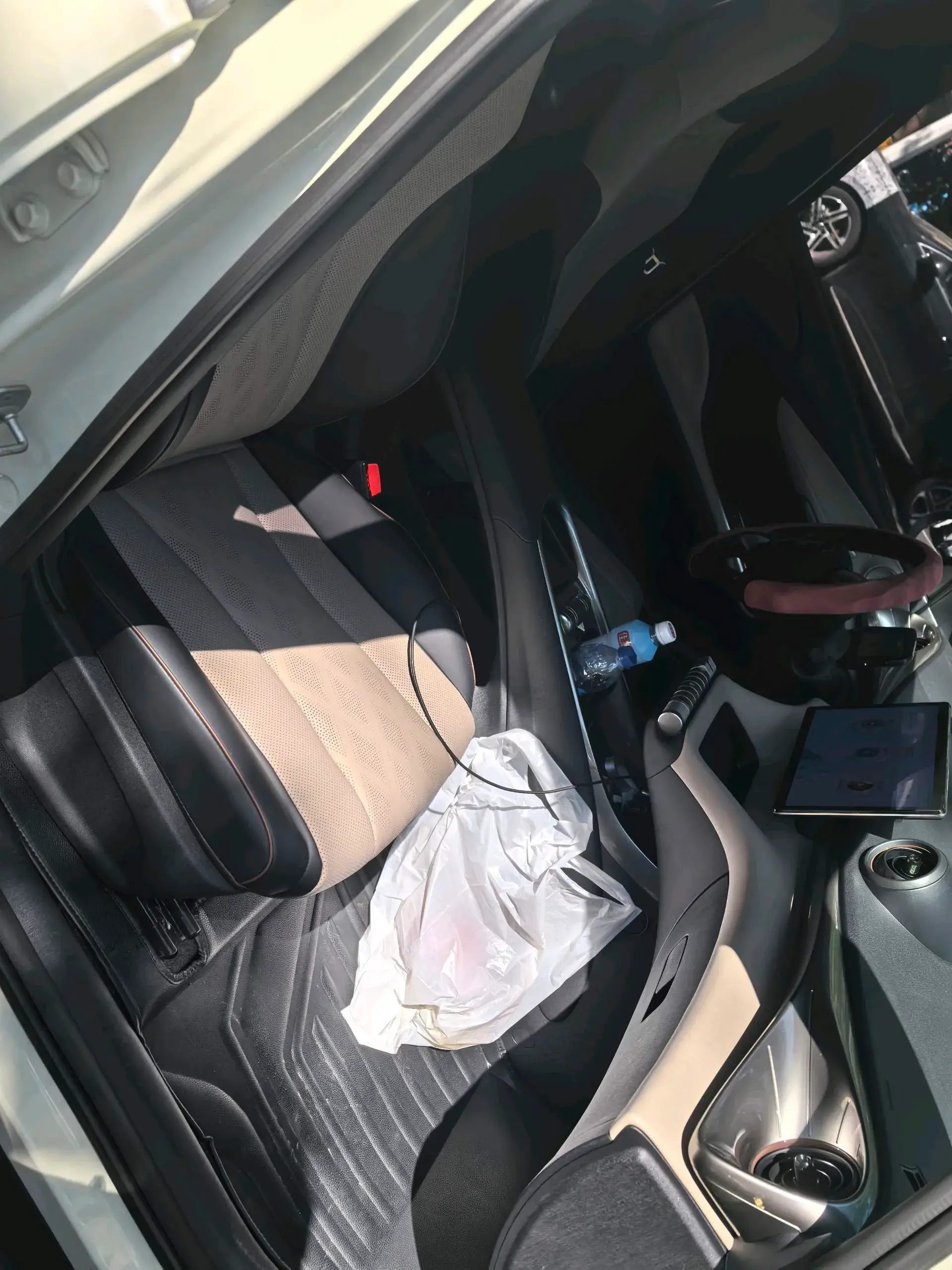 2023 BYD DOLPHIN thumbnail 4