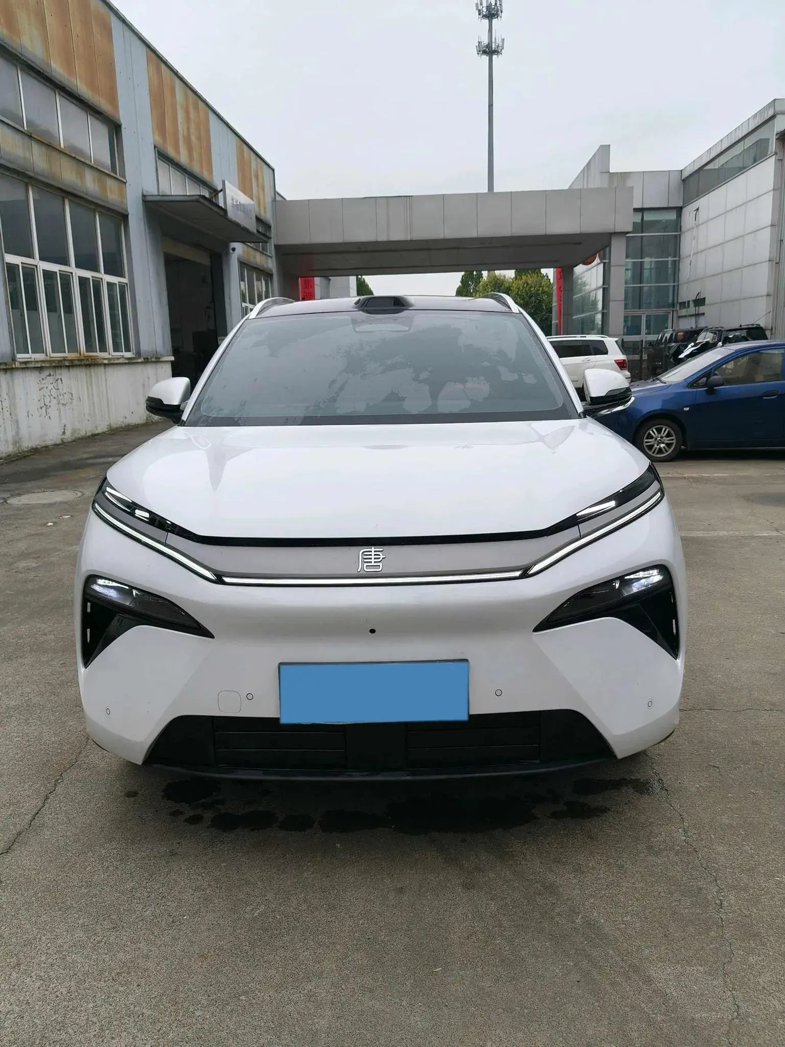 2025 BYD TANGL thumbnail 2