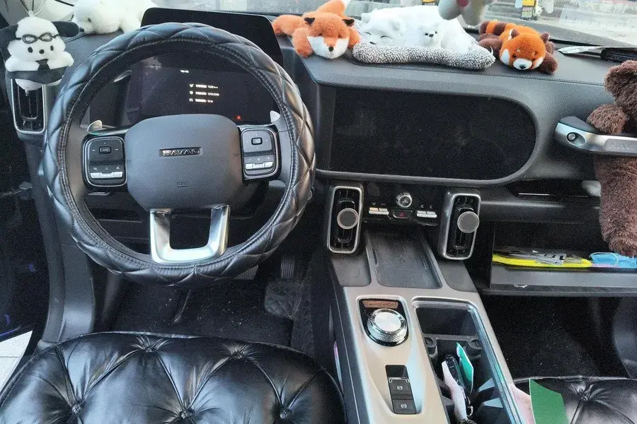 2024 HAVAL DARGO thumbnail 4