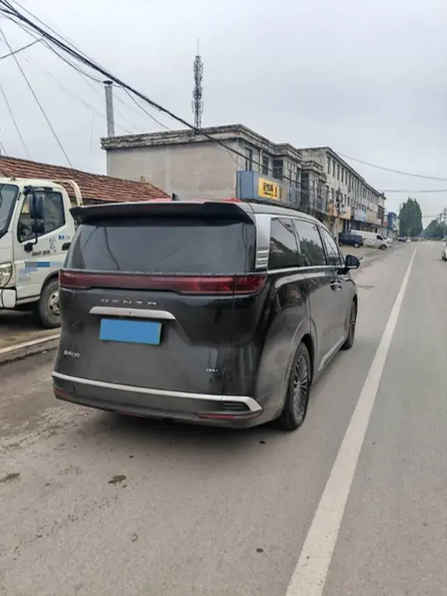 2023 DENZA D9 thumbnail 4