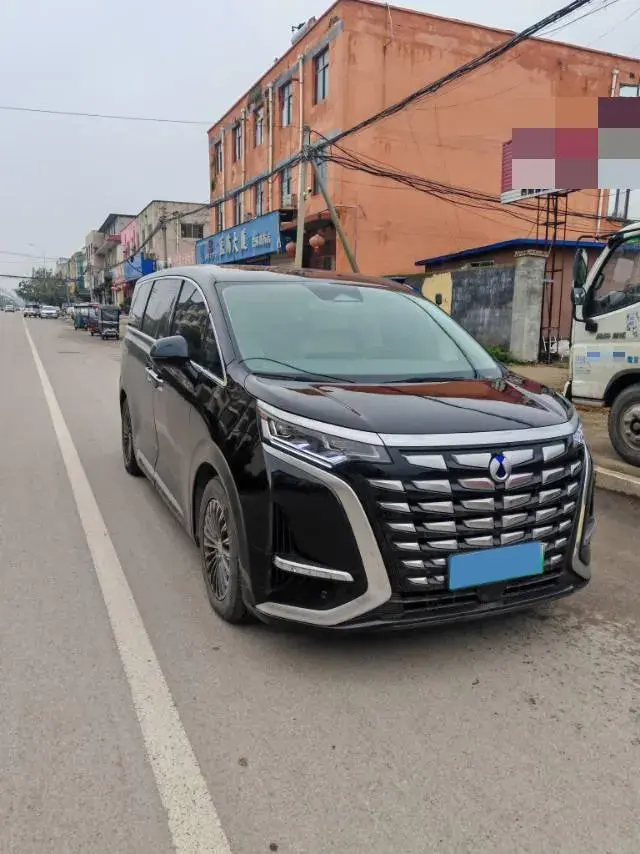 2023 DENZA D9 thumbnail 2