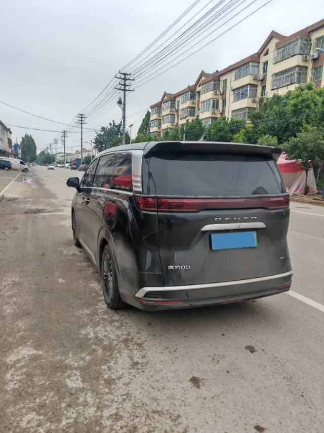 2023 DENZA D9 thumbnail 3