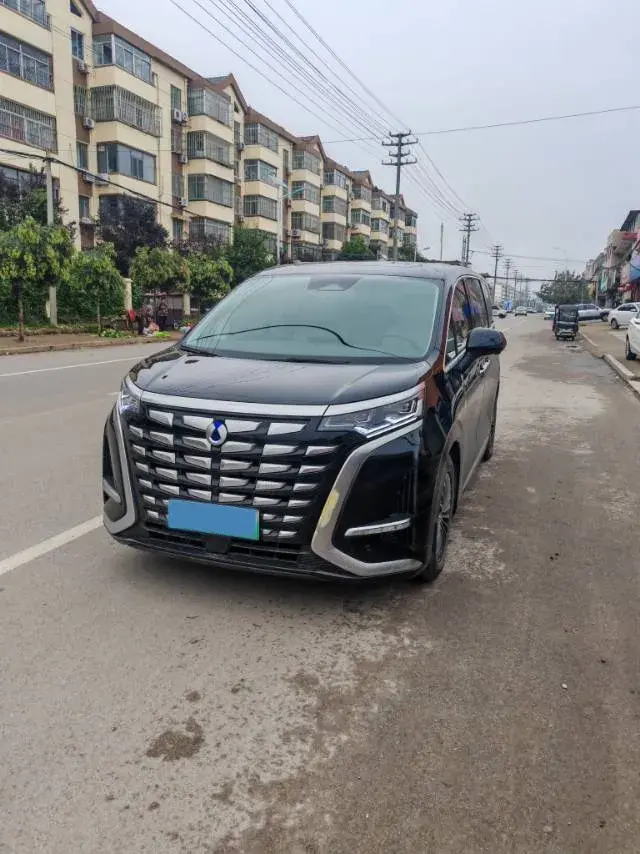 2023 DENZA D9 view 1