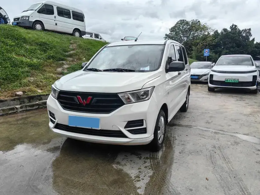 2019 WULING HONGGUANG view 1