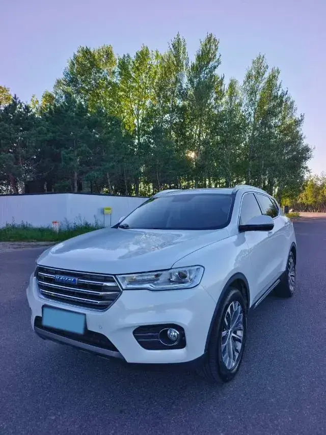 2018 Haval H6 1.5T 169HP L4 7DCT