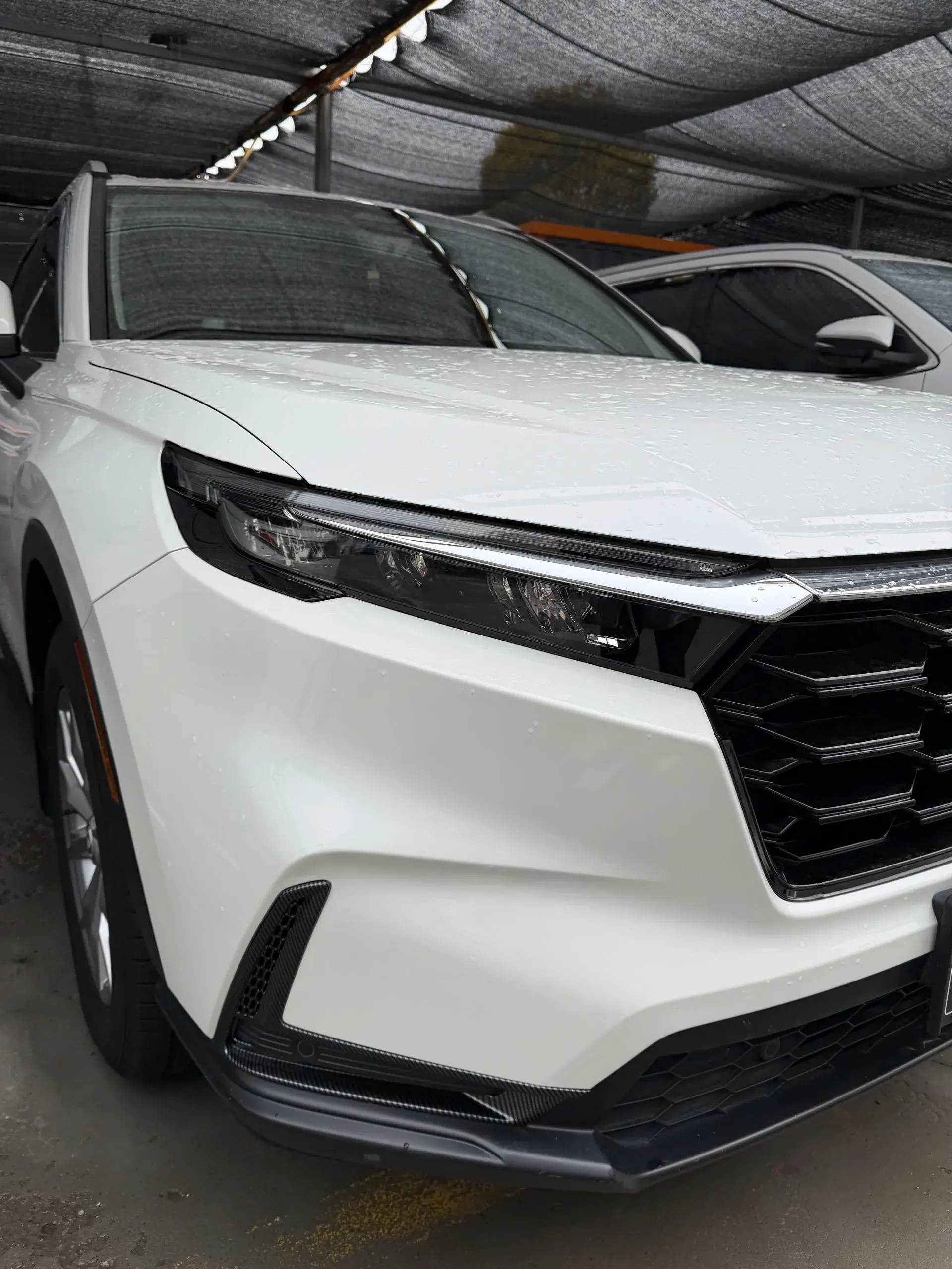 2023 HONDA CR-V thumbnail 3