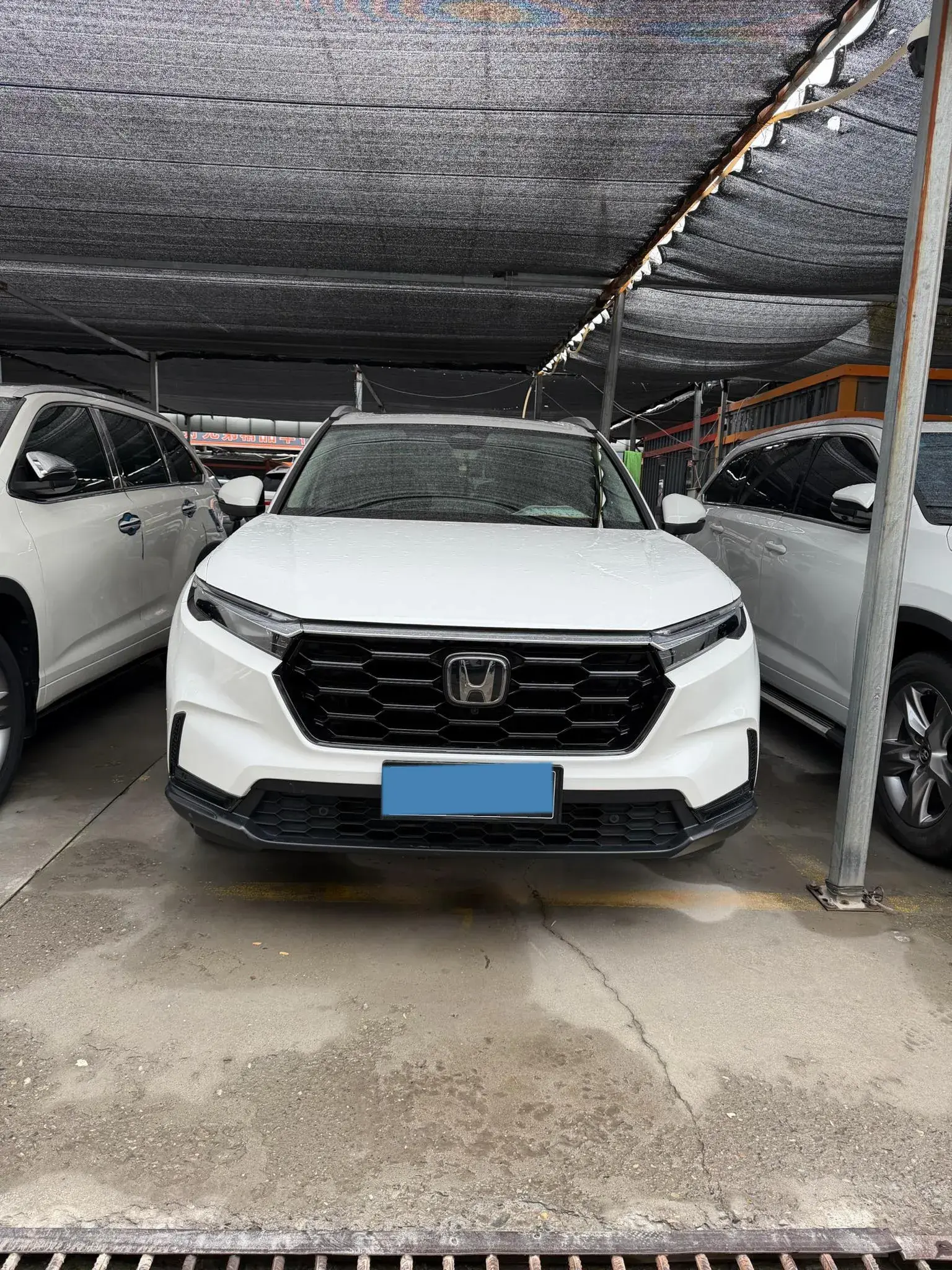 2023 HONDA CR-V thumbnail 2