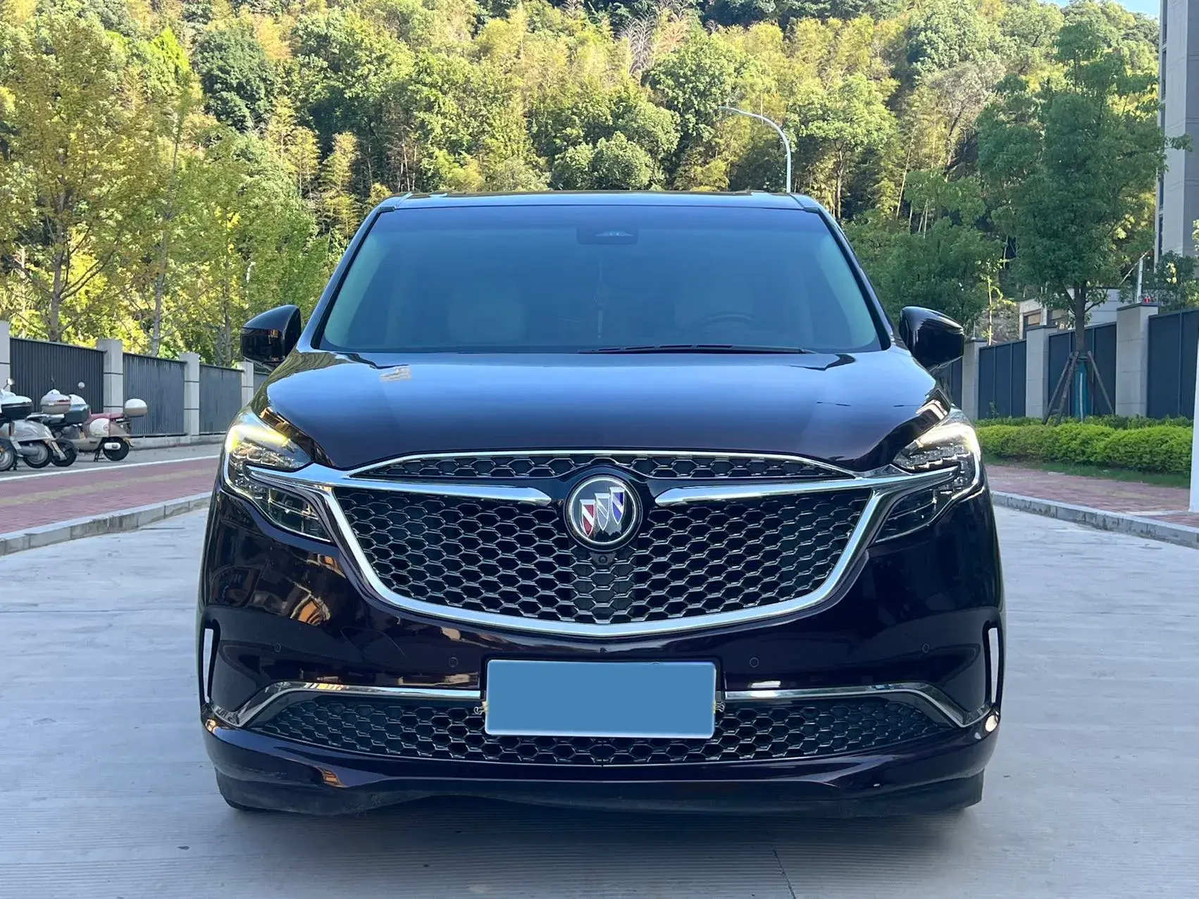 2020 BUICK GL8 thumbnail 2