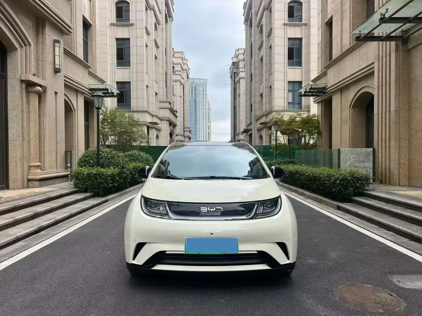 2025 BYD DOLPHIN thumbnail 2