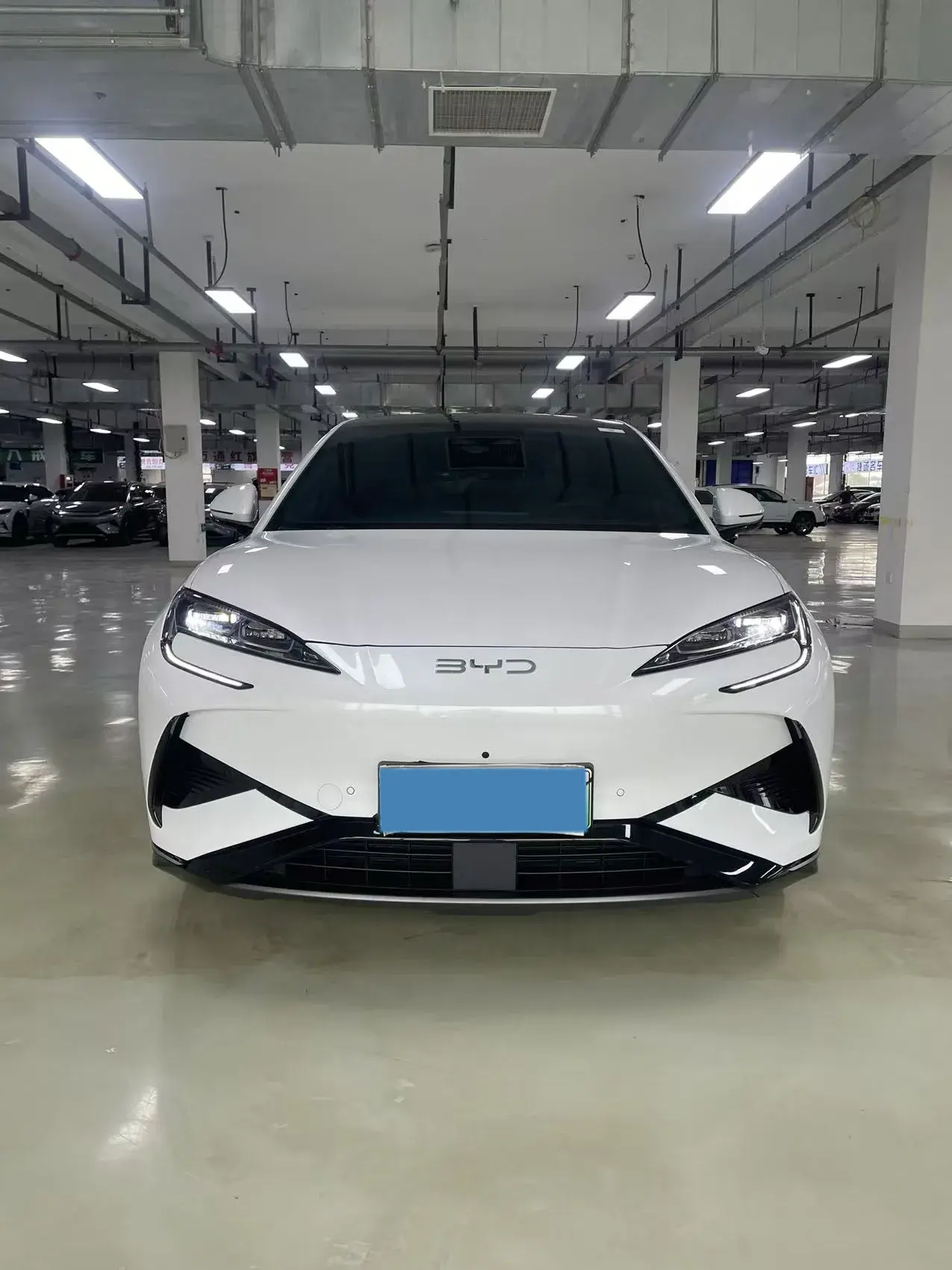 2024 BYD SEA thumbnail 2