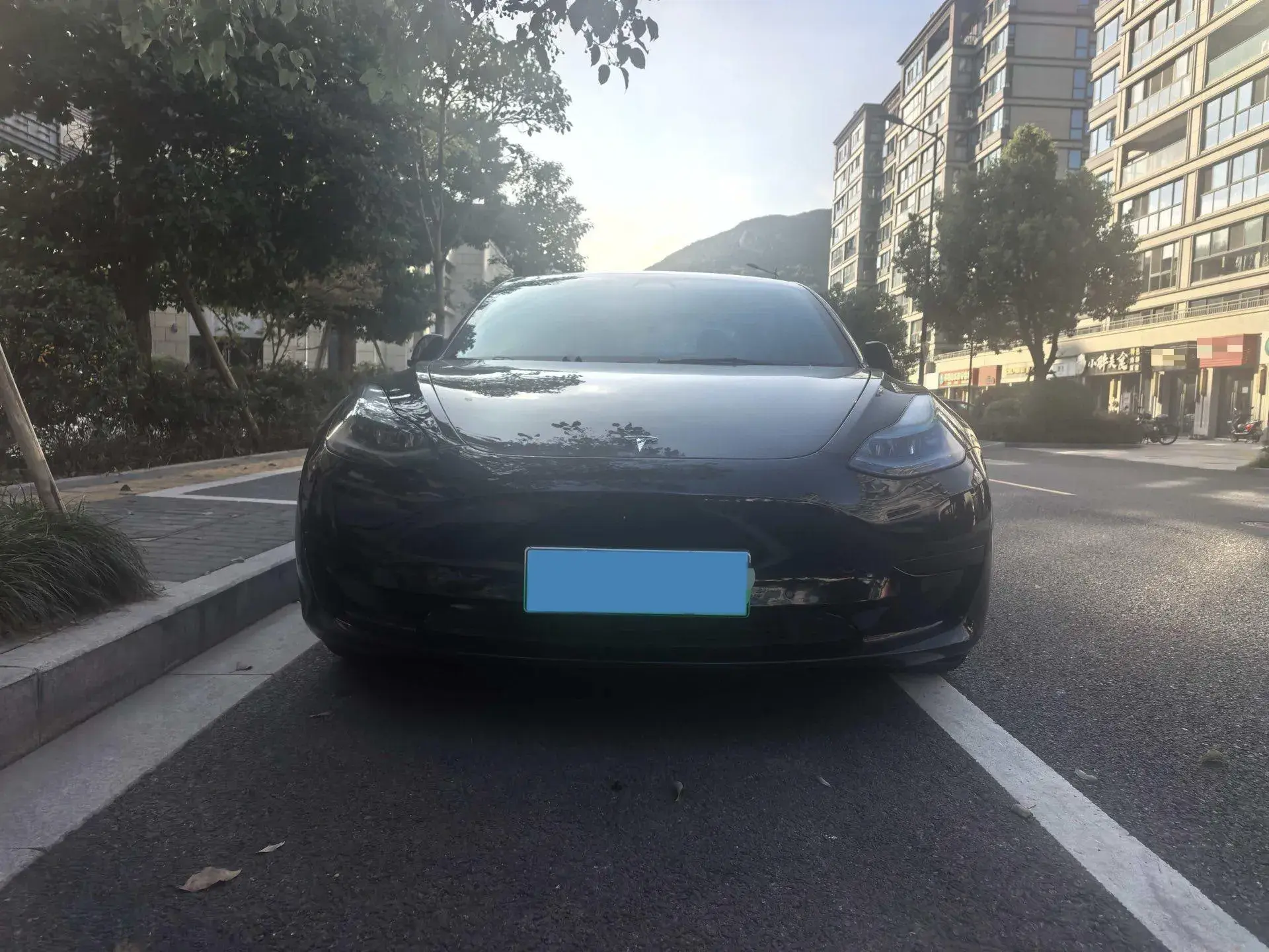 2022 TESLA MODEL thumbnail 2