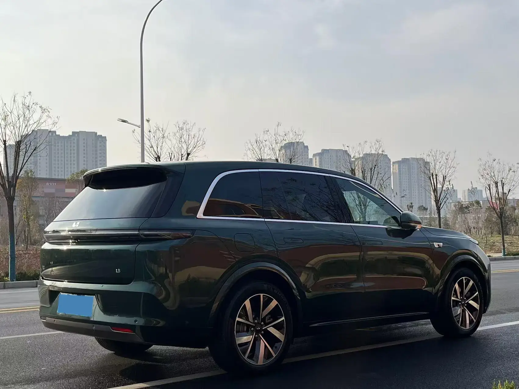 2024 LI L8 thumbnail 4