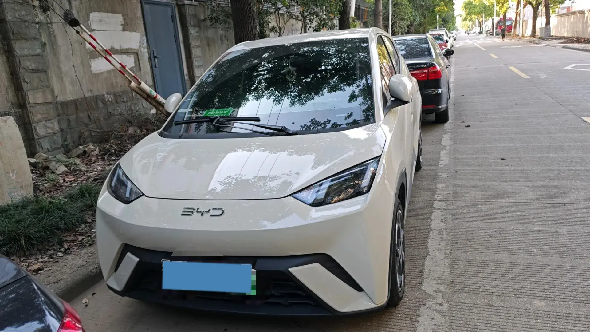 2025 BYD SEAGULL thumbnail 2