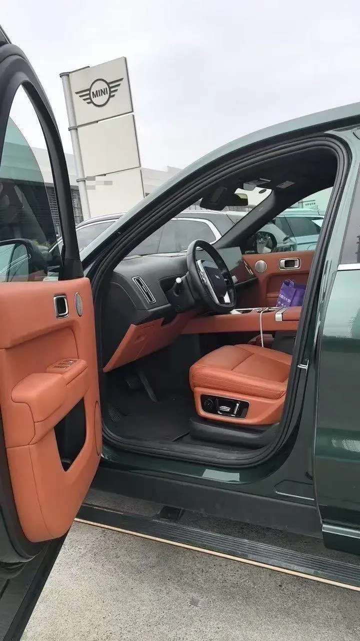 2022 LI L9 thumbnail 4