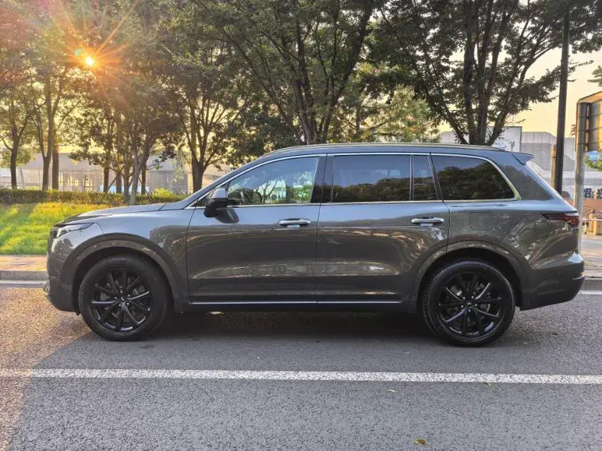 2021 LI ONE thumbnail 3