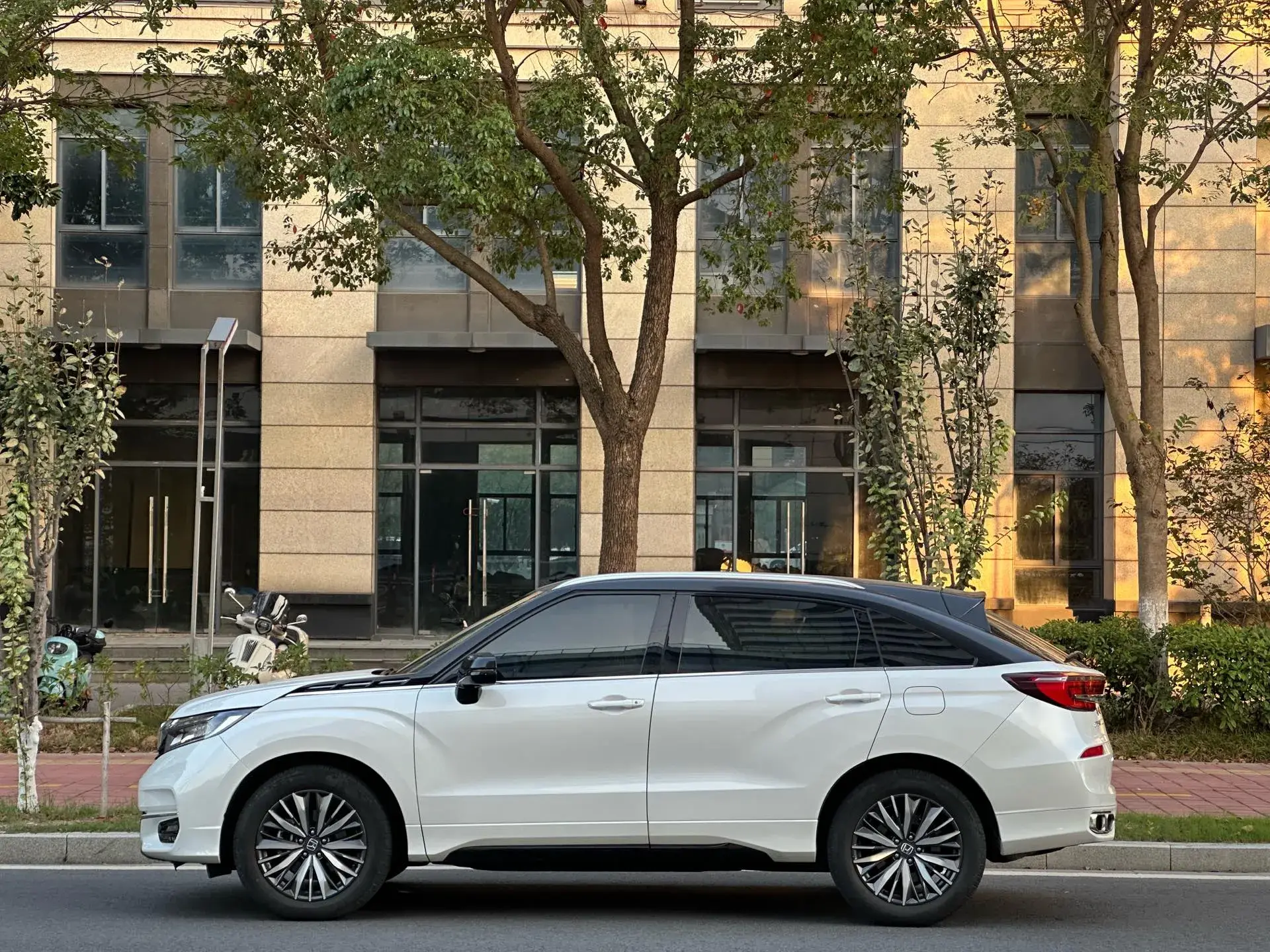 2020 HONDA AVANCIER thumbnail 3