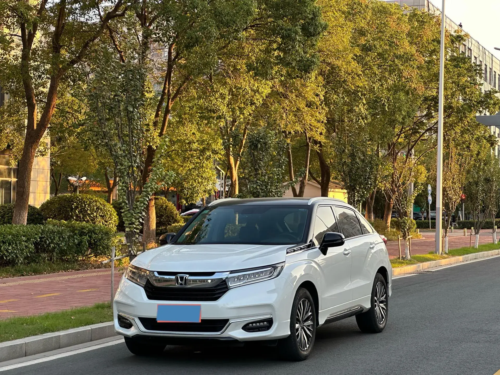 2020 HONDA AVANCIER view 1