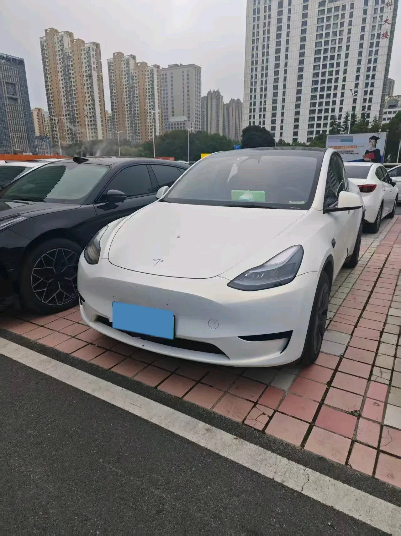 2023 TESLA MODEL view 1