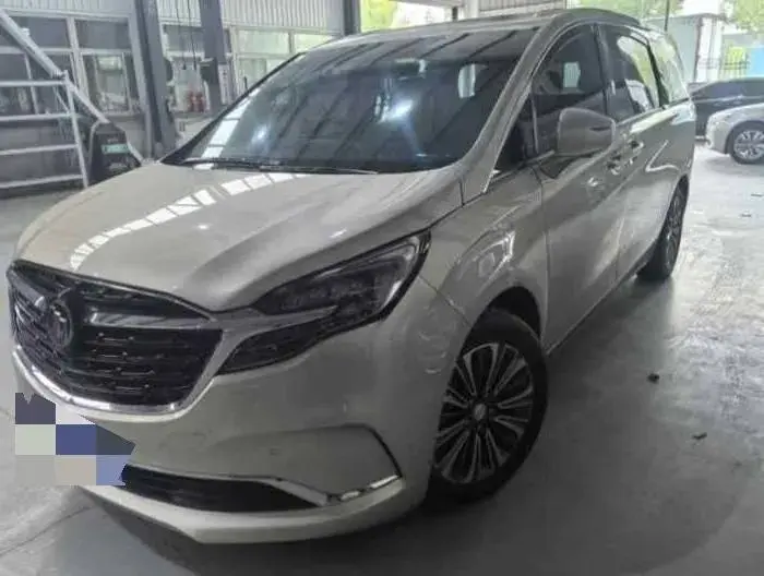 2021 BUICK GL8 view 1