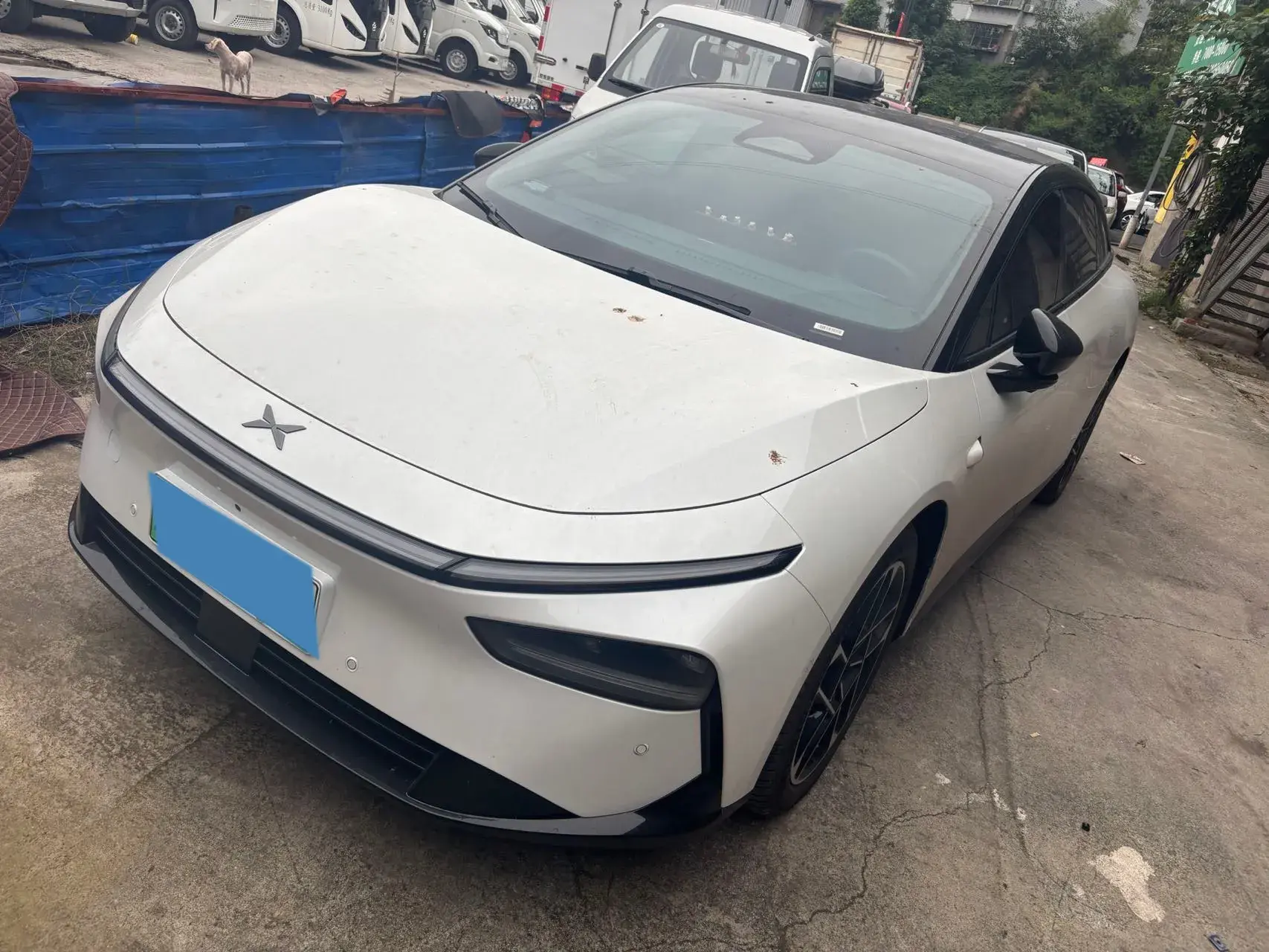 2024 XPENG P7+ view 1