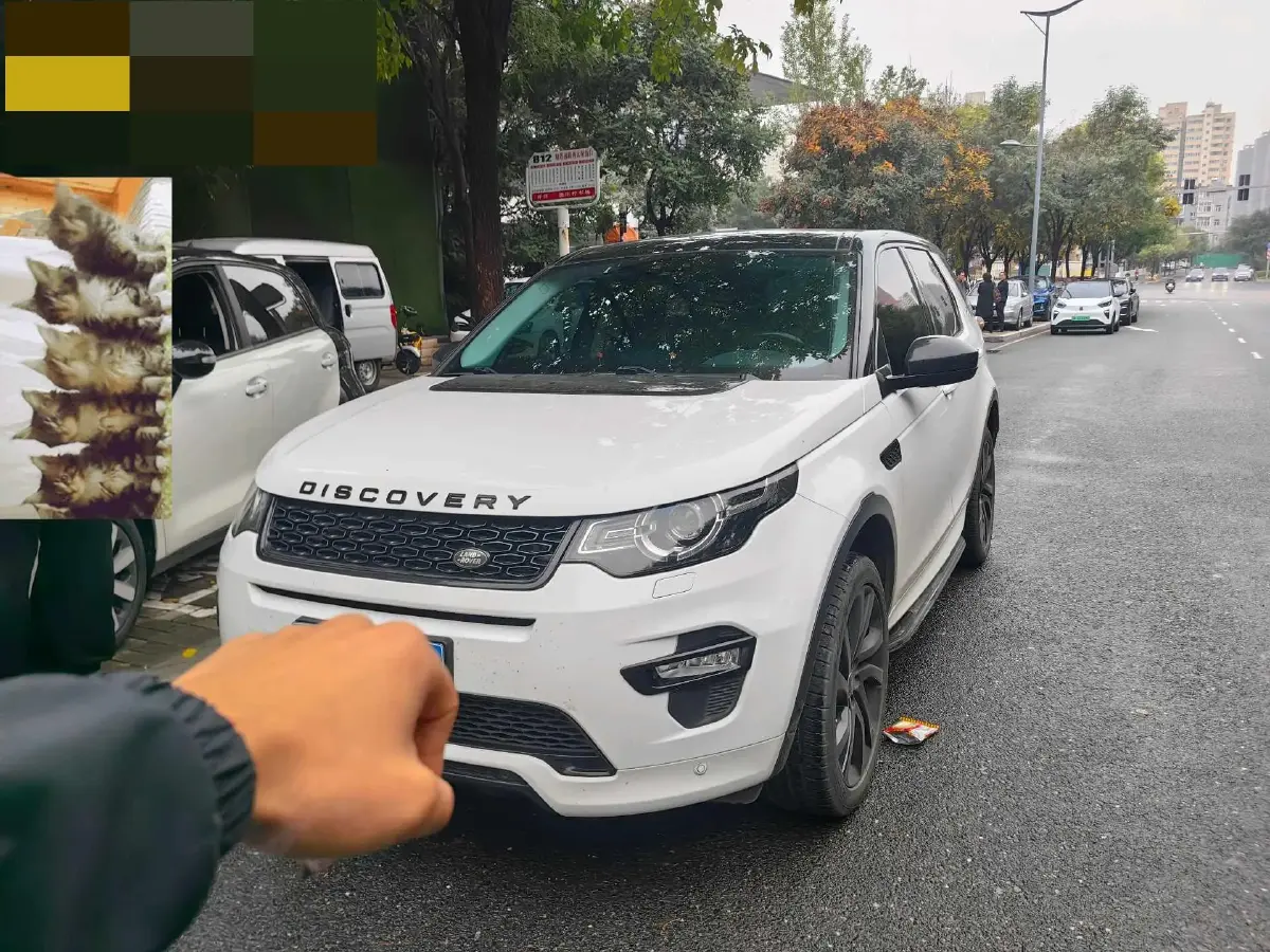 2019 Land Rover Discovery Sport 2.0T 241HP L4 9AT