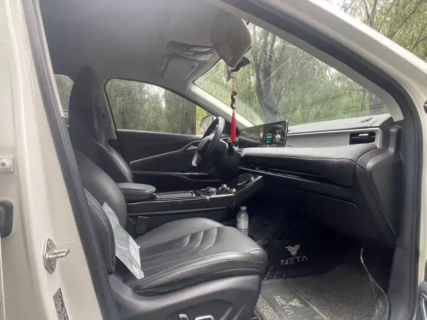 2021 NETA U thumbnail 3