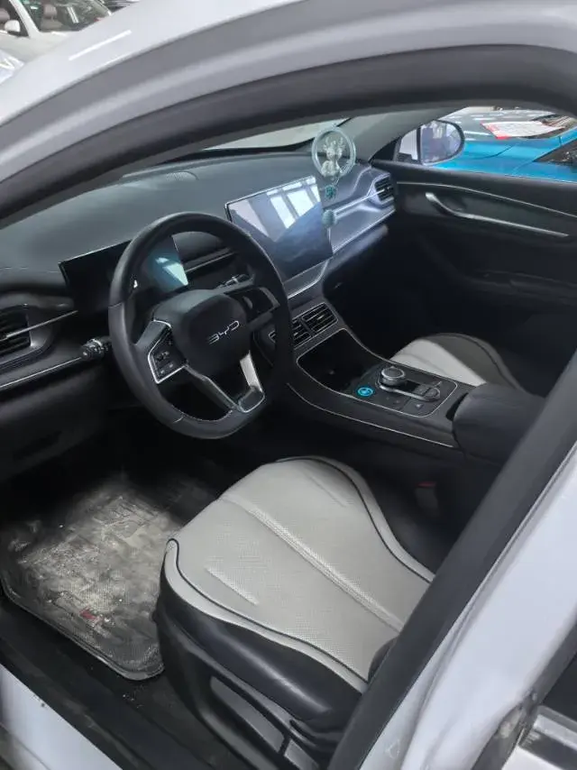 2024 BYD DESTROYER thumbnail 4