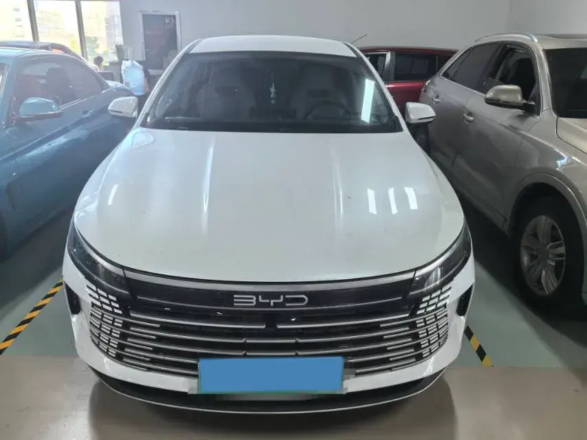 2024 BYD DESTROYER thumbnail 2