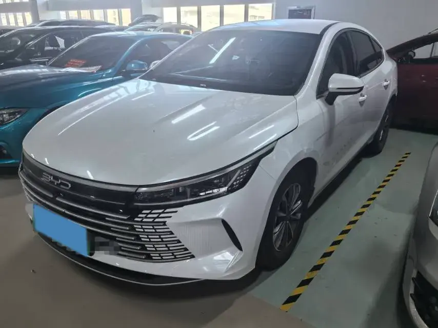 2024 BYD DESTROYER view 1