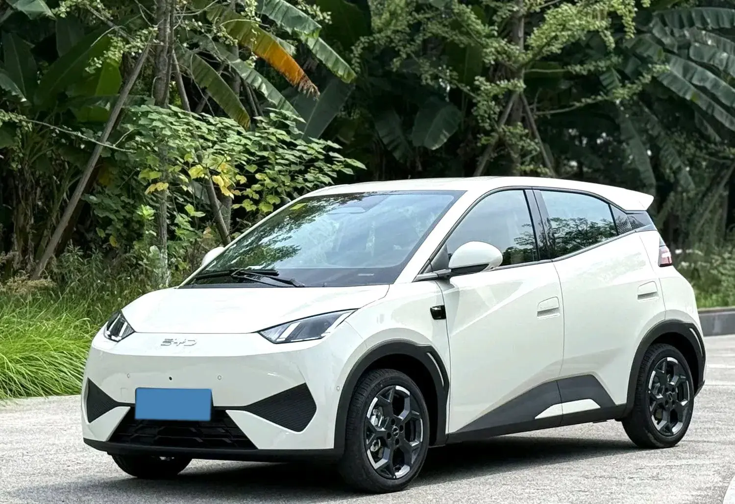 2023 BYD SEAGULL view 1