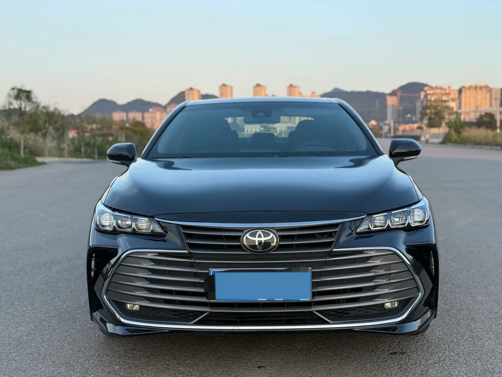 2019 TOYOTA AVALON thumbnail 2